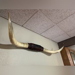 Huge leather longhorn mount